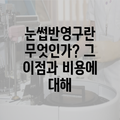 눈썹반영구란 무엇인가? 그 이점과 비용에 대해