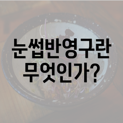 눈썹반영구란 무엇인가?