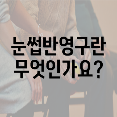 눈썹반영구란 무엇인가요?