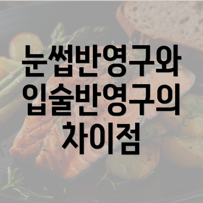 눈썹반영구와 입술반영구의 차이점