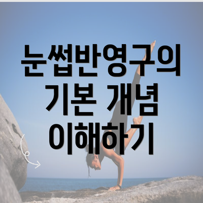 눈썹반영구의 기본 개념 이해하기