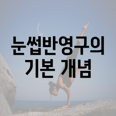 눈썹반영구의 기본 개념