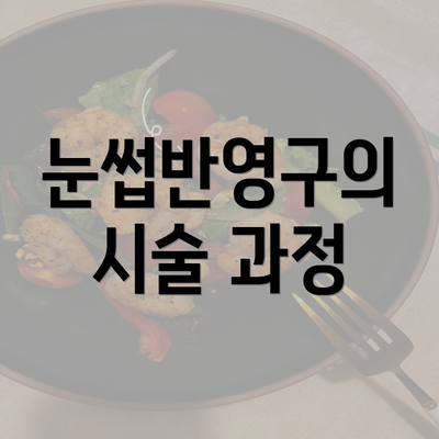 눈썹반영구의 시술 과정