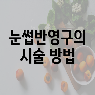 눈썹반영구의 시술 방법