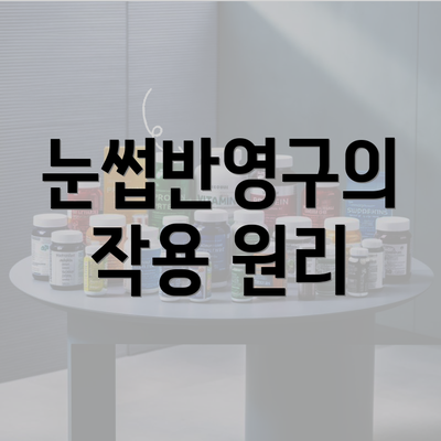 눈썹반영구의 작용 원리