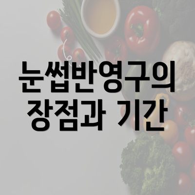 눈썹반영구의 장점과 기간