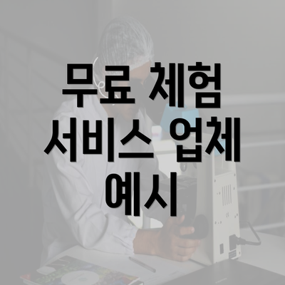 무료 체험 서비스 업체 예시