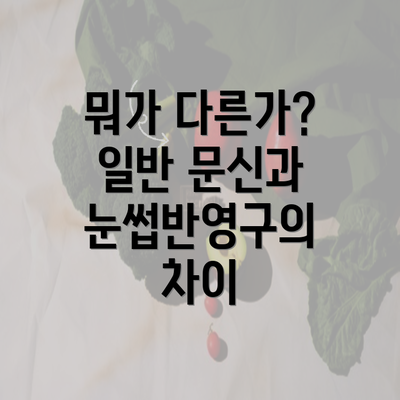 뭐가 다른가? 일반 문신과 눈썹반영구의 차이