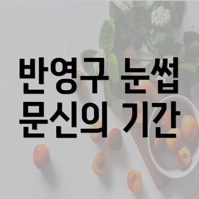 반영구 눈썹 문신의 기간