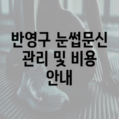 반영구 눈썹문신 관리 및 비용 안내