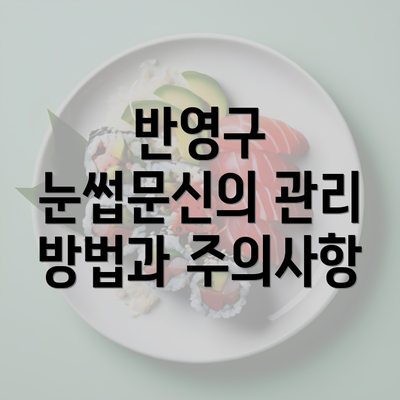 반영구 눈썹문신의 관리 방법과 주의사항