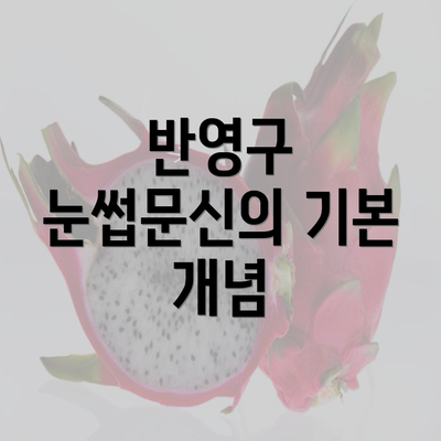 반영구 눈썹문신의 기본 개념