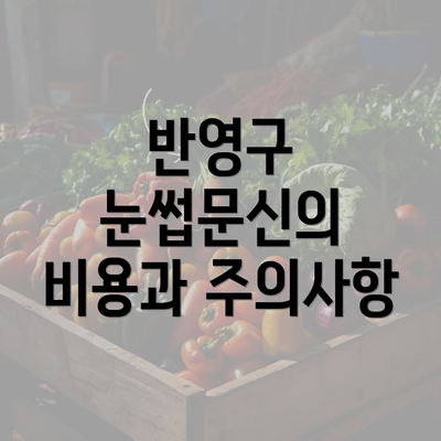 반영구 눈썹문신의 비용과 주의사항