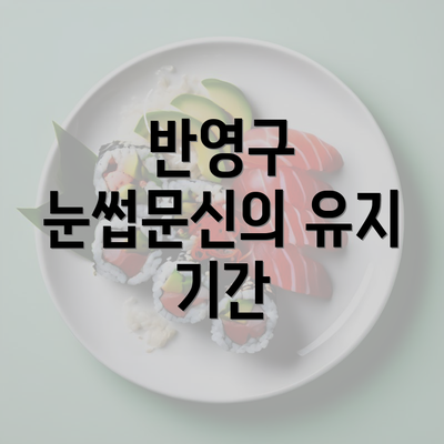 반영구 눈썹문신의 유지 기간