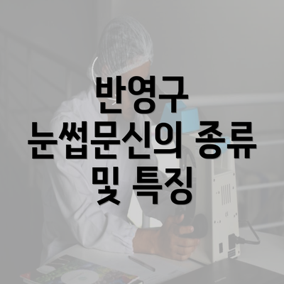 반영구 눈썹문신의 종류 및 특징