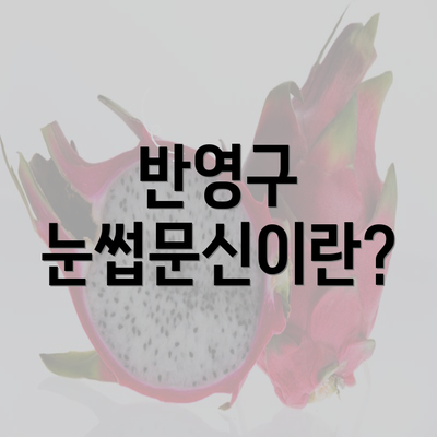 반영구 눈썹문신이란?