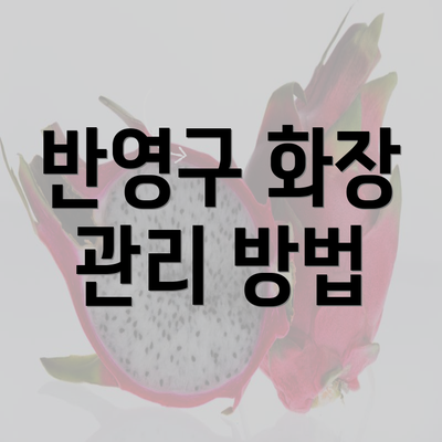 반영구 화장 관리 방법