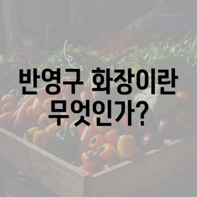 반영구 화장이란 무엇인가?