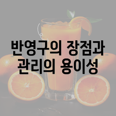 반영구의 장점과 관리의 용이성