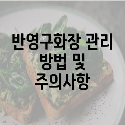 반영구화장 관리 방법 및 주의사항