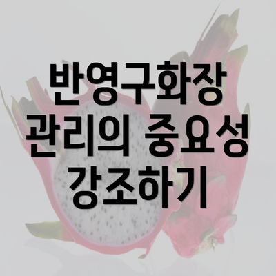 반영구화장 관리의 중요성 강조하기