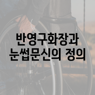 반영구화장과 눈썹문신의 정의