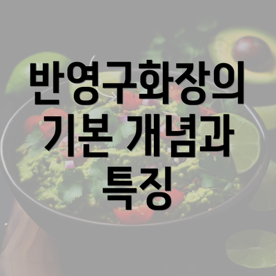 반영구화장의 기본 개념과 특징