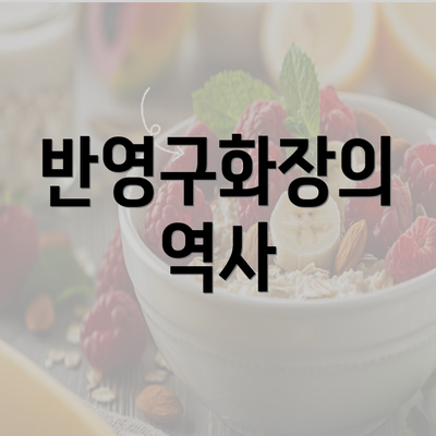 반영구화장의 역사