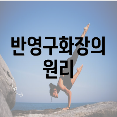 반영구화장의 원리