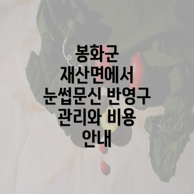 봉화군 재산면에서 눈썹문신 반영구 관리와 비용 안내