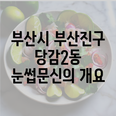 부산시 부산진구 당감2동 눈썹문신의 개요