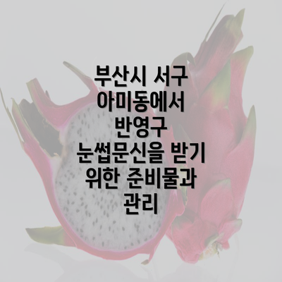 부산시 서구 아미동에서 반영구 눈썹문신을 받기 위한 준비물과 관리