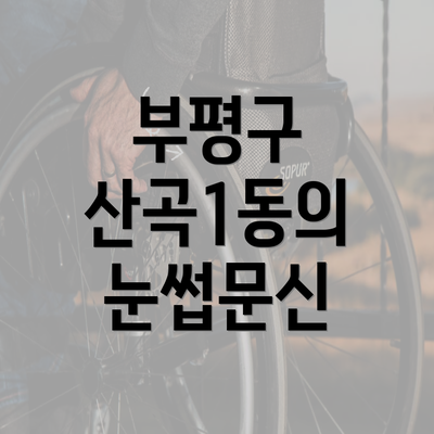 부평구 산곡1동의 눈썹문신