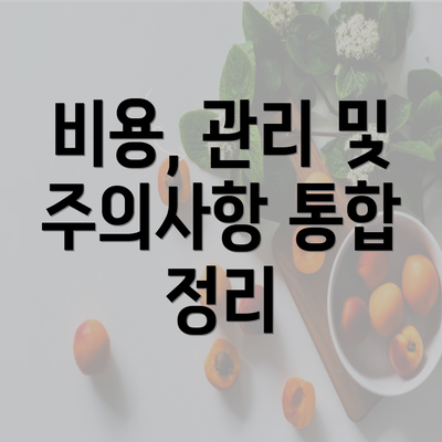 비용, 관리 및 주의사항 통합 정리