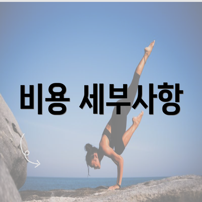 비용 세부사항