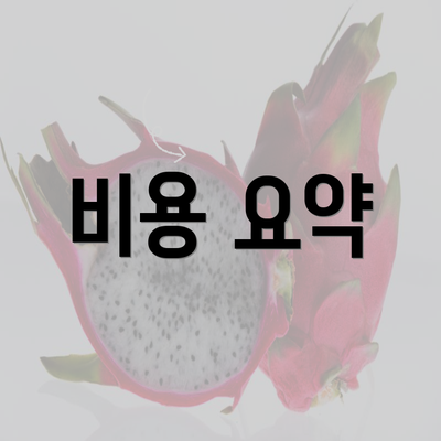 비용 요약