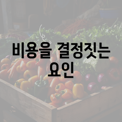 비용을 결정짓는 요인