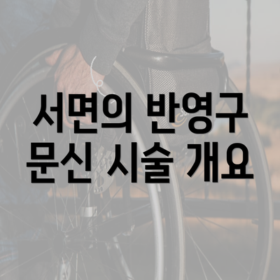 서면의 반영구 문신 시술 개요