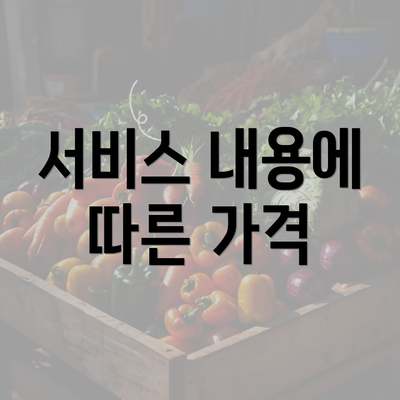 서비스 내용에 따른 가격