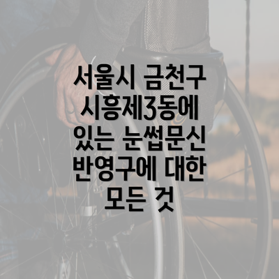 서울시 금천구 시흥제3동에 있는 눈썹문신 반영구에 대한 모든 것