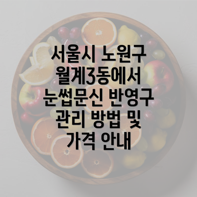 서울시 노원구 월계3동에서 눈썹문신 반영구 관리 방법 및 가격 안내