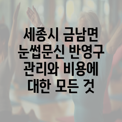 세종시 금남면 눈썹문신 반영구 관리와 비용에 대한 모든 것