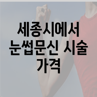 세종시에서 눈썹문신 시술 가격