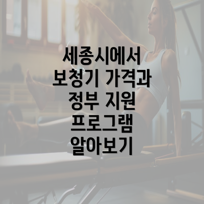 세종시에서 보청기 가격과 정부 지원 프로그램 알아보기