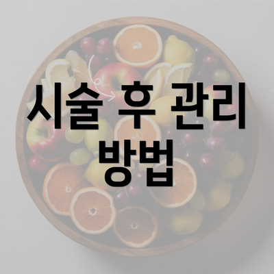 시술 후 관리 방법