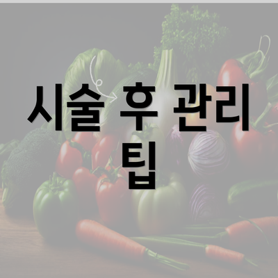 시술 후 관리 팁