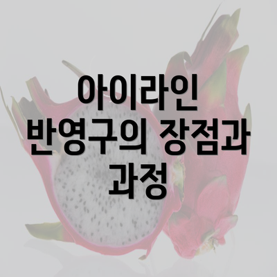 아이라인 반영구의 장점과 과정