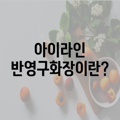 아이라인 반영구화장이란?