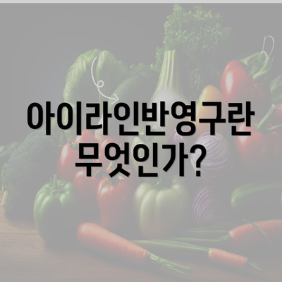 아이라인반영구란 무엇인가?