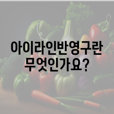 아이라인반영구란 무엇인가요?